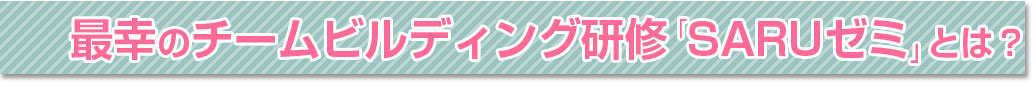 最幸のチームビルディング研修「SARUゼミ」とは?