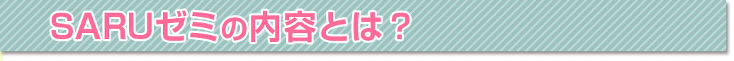 SARUゼミの内容とは?